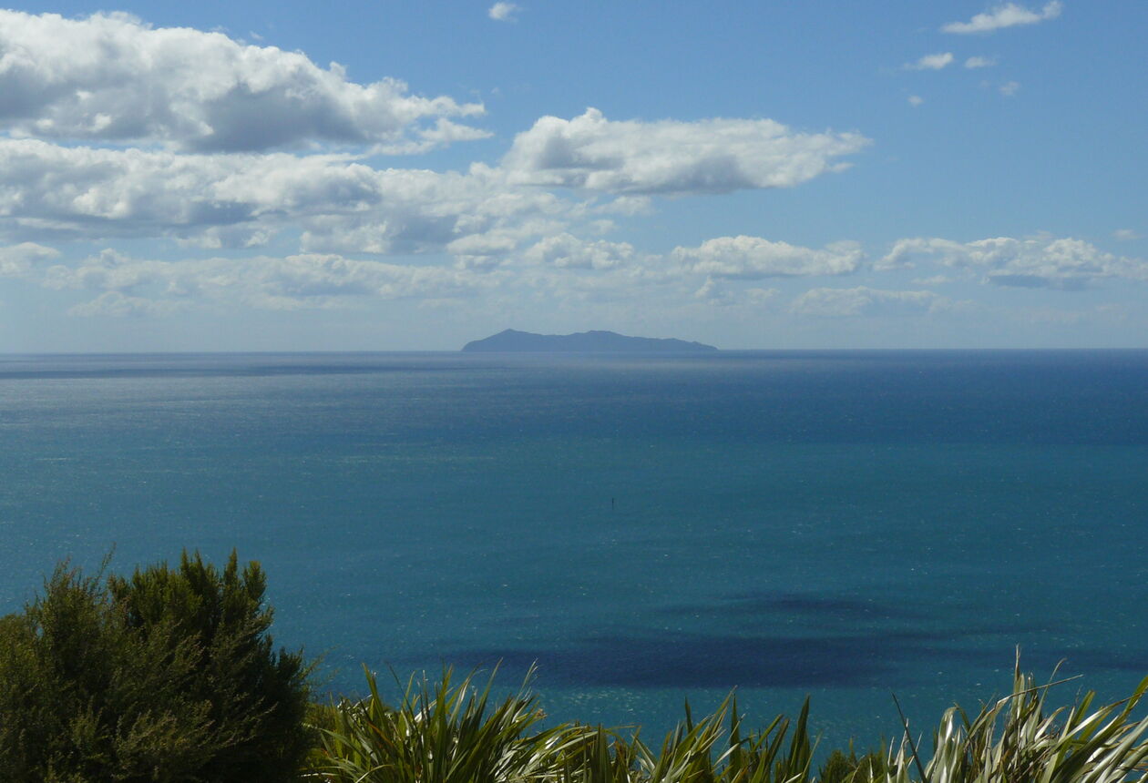 Mayor Island (Tuhua) is a dormant volcano off the Bay of Plenty coast. It is a sanctuary for wildlife, both above and below the water.