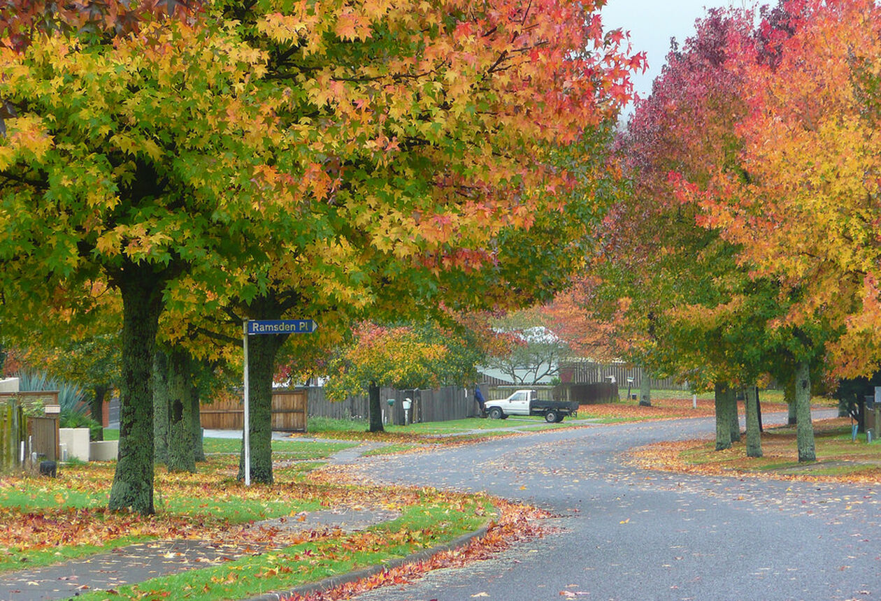 盛产木材的小镇凯瓦劳能提供独特的体验。可以参观每年生产90万吨的大型造纸厂。