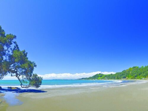 서퍼들의 사랑을 받는 웨스트엔드 해변이 있고, 그림같은 해변으로 알려진 오타라와이레레 해변으로 이어진다.  화카타네나 오호페에서 절벽 위로 이어진 해안 트랙을 통해 걸어가야 한다.