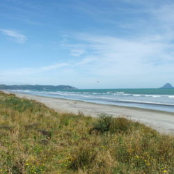 11km 길이로 백사장이 뻗은 오호페 해변에 파도가 높다.