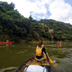 カヌーでワイコエカ川を行く、オポティキ