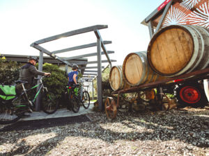 骑行探索葡萄酒之旅 (Pedal for Pinot)