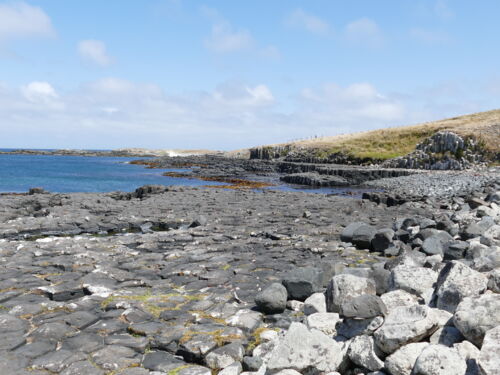 Basalt Columns Ohira Bay Chatham Island 