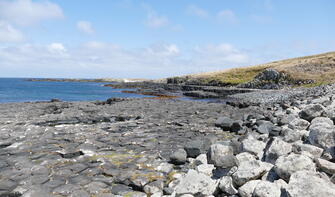 Basalt Columns Ohira Bay Chatham Island 