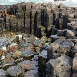 Basalt Columns at Ohira Bay Chatham Island 