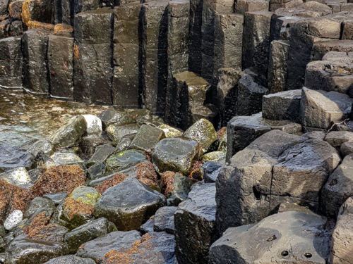 Basalt Columns at Ohira Bay Chatham Island 