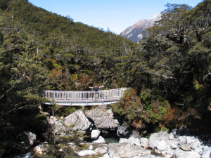 Bealey Valley in Arthur's Pass National Park