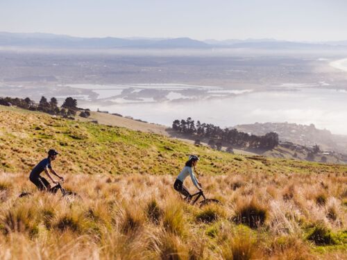 Wander the Port Hills on the edge of Christchurch city