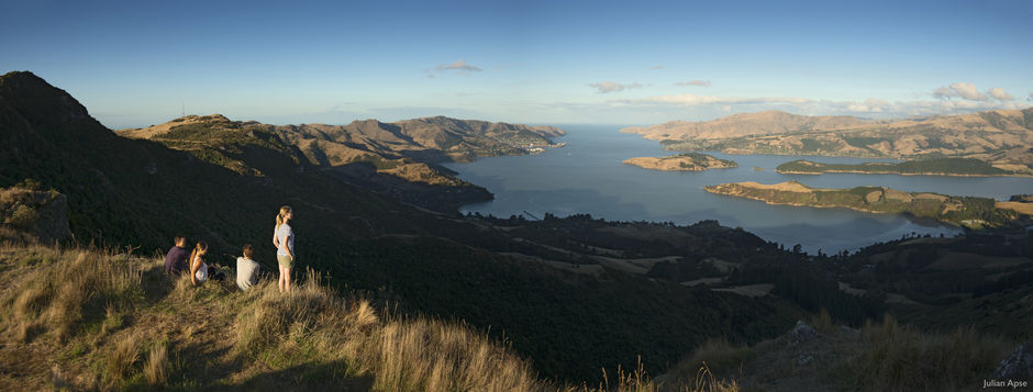 Walking the Port Hills