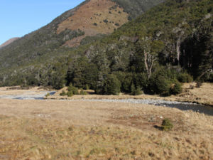 Boyle River between Anne Saddle and Rokeby Hut. St James Walkway