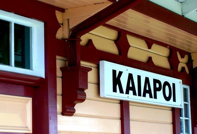 Kaiapoi was once the site of a major Ngai Tahu trading settlement. You can visit the pa, which appears as a series of low grassy mounds.