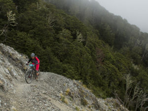 Explore the foothills of the Southern Alps in Canterbury on this single track curving through beech forest and across the base of ski-fields.