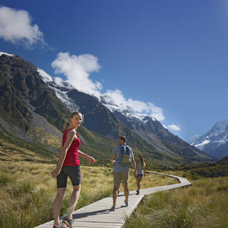 There are a number of short walks you can do at Mt Cook including the Governors Bush Walk, Bowen Bush Walk, Glencoe Walk, and the Hooker Valley Track.