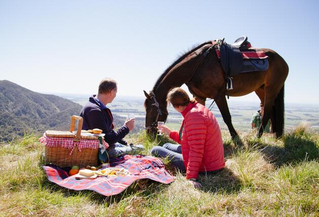 Enjoy ancient native forest, delicate ferns and alpine tussock in this scenic forest park. Stand beneath a waterfall or picnic beside an alpine lake.