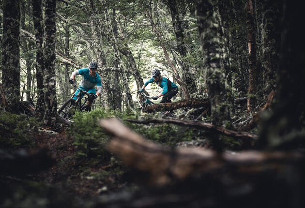 Few countries in the world serve up such diverse riding – from urban forest trails to rugged, remote mountaintop tracks. This practical guide helps you plan a safe and enjoyable mountain biking holiday in New Zealand.
