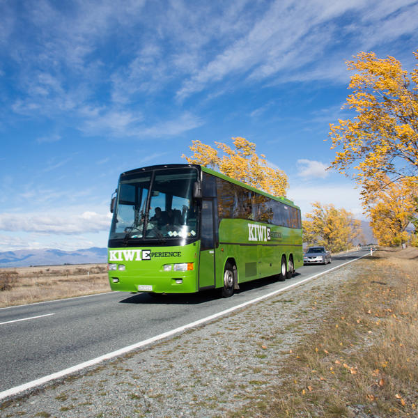 Backpacker bus