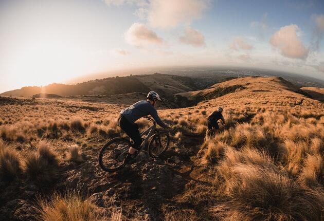 Want to know what's happening when you're in New Zealand? Browse the regional events to start planning your holiday today.