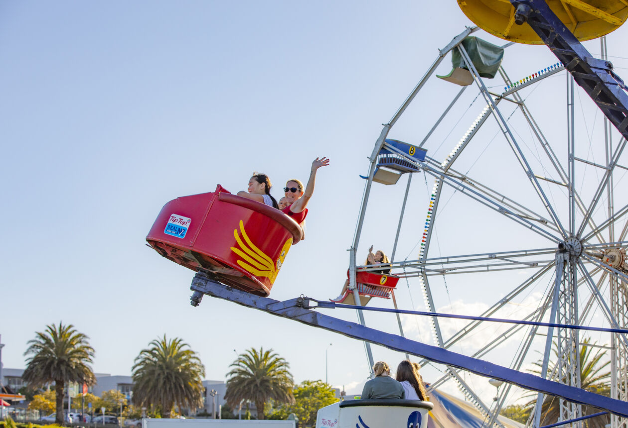 Explore Timaru's town centre, where you’ll find fantastic dining and boutique shopping but still have stop for penguins crossing the road.
