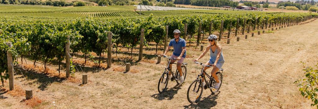 Biking around vineyards in Waipara