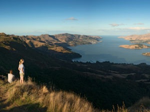 Explore the surrounds of Christchurch, Canterbury.