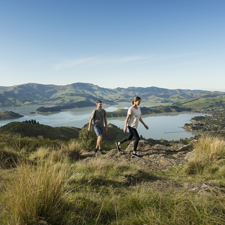 Wandere in den Port Hills, am Rande von Christchurch.