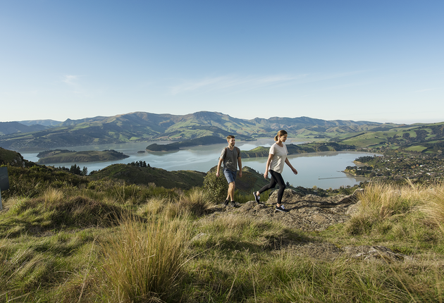 Christchurch – Canterbury verbindet beeindruckende Ebenen, aufsteigende Berge und nette Häfen. Besuche Christchurch, Akaroa, Kaikoura und Lake Tekapo.