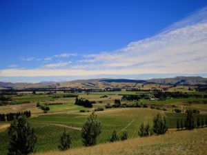 Greystone PurePod, vast views of the Waipara Valley