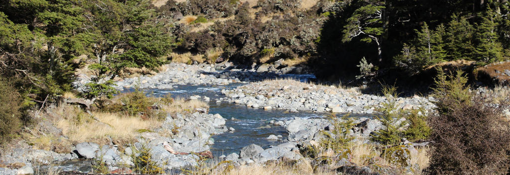 Am Boyle River zwischen Anne Saddle und Rokeby Hut. St James Walkway, Neuseeland.