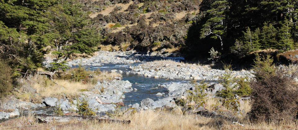 Boyle River between Anne Saddle and Rokeby Hut. St James Walkway, New Zealand