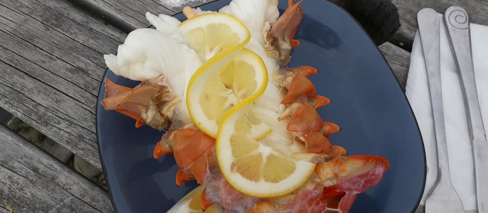 Fresh crayfish tail from Nin&#039;s Bin, Kaikōura