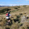 Traverse fields of golden tussock. When it's fine weather, the views are breath taking.