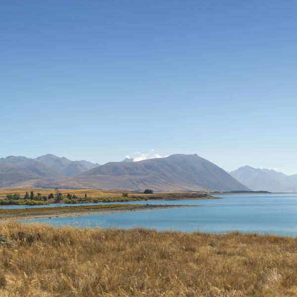 Soak up mountain views, go whale watching, have a swim and feast on fresh, local crayfish in Kaikoura.