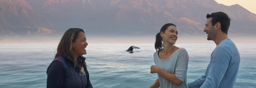 Erlebe die Giganten des Meeres bei einer Whale-Watching-Tour in Kaikoura.