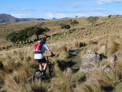 Traverse fields of golden tussock. When it&#039;s fine weather, the views are breath taking.