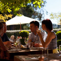 Die über 60 Weingüter des Waipara Valley sind bekannt für Pinot Noir und Riesling.