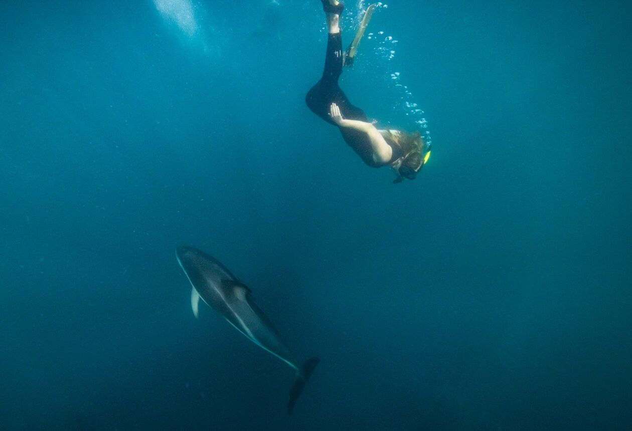 クライストチャーチ市と広大なカンタベリー地方には、ショッピングやアドベンチャー好きにも歴史通にも、存分に楽しめるものが揃っています。