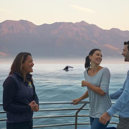 Most people visit Kaikoura to see the whales, but the beauty of the landscape is just as compeling