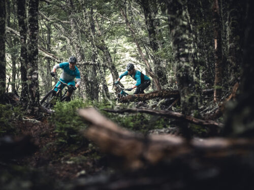 This spectacular ride traverses the foothills of the Southern Alps, taking you through beech forest and across the base of ski fields.