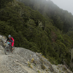 Explore the foothills of the Southern Alps in Canterbury on this single track curving through beech forest and across the base of ski-fields.