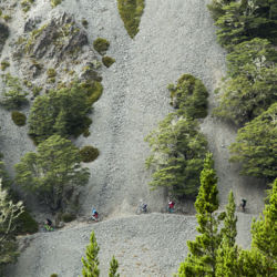 Craigieburn Forest&#039;s unique landscape, dotted with huge limestone boulders, was used to film a scene in Narnia’s The Lion, The Witch and The Wardrobe.