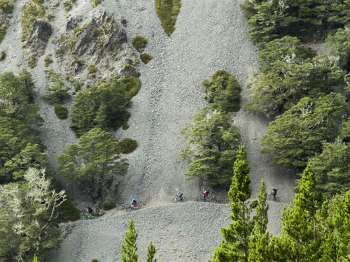 Craigieburn Forest&#039;s unique landscape, dotted with huge limestone boulders, was used to film a scene in Narnia’s The Lion, The Witch and The Wardrobe.