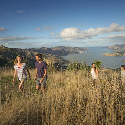 Enjoy the views from Christchurch&#039;s Port Hills