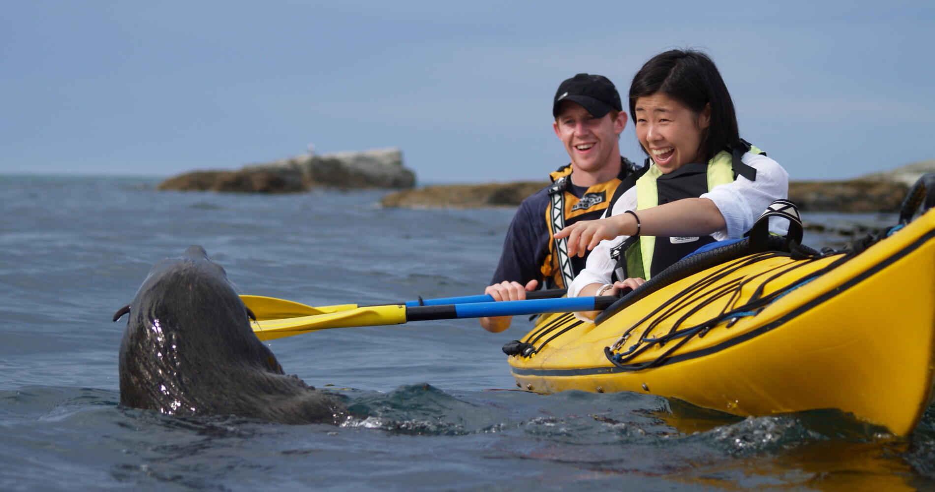 クライストチャーチからクィーンズタウンへ、カイコウラ経由