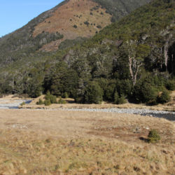 Boyle River between Anne Saddle and Rokeby Hut. St James Walkway