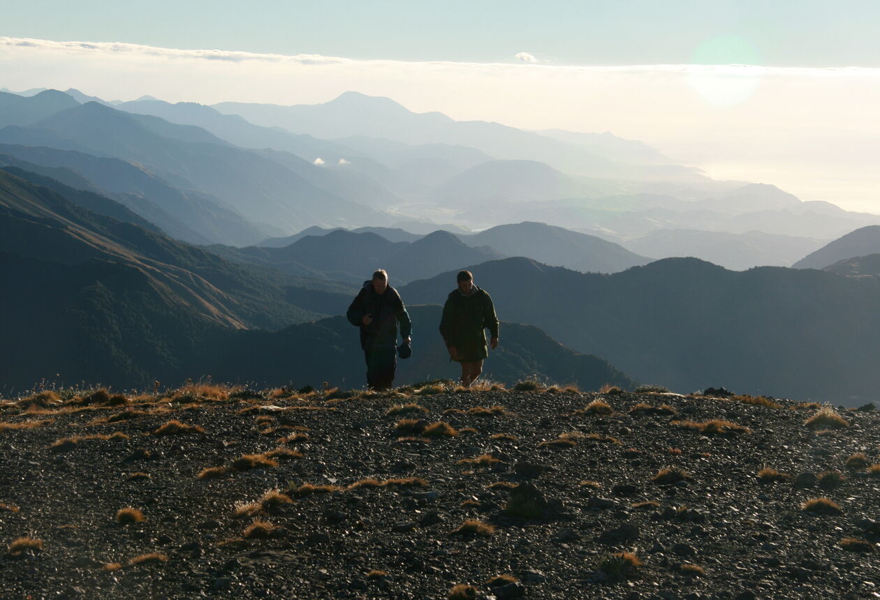 Past and present, hunting in New Zealand has been a popular activity for putting food on tables and for sport and recreation.