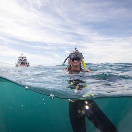 카이코우라에서 보트 크루즈로 거대한 고래 관광에 나선다.