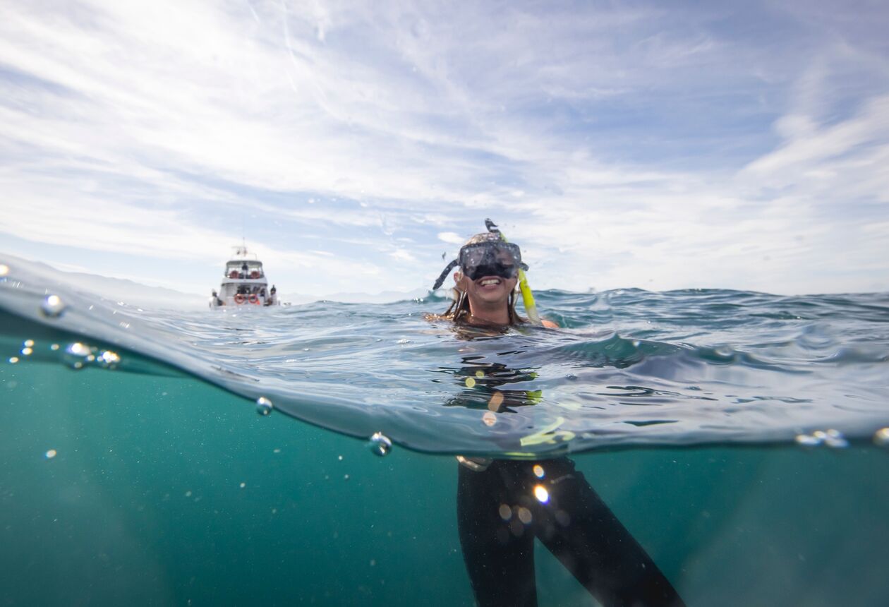 카이코우라의 해변마을은 모험과 바다로 묘사될 수 있다.