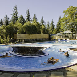 핸머 스프링스 온천