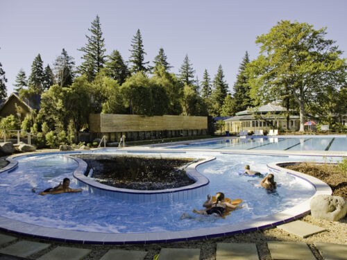 핸머 스프링스 온천