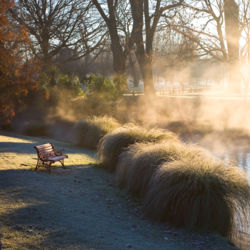 안개가 피어오르는 강변 산책로